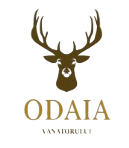 Odaia Vanatorului